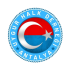 Dünyadaki Uygur Toplulukları Portalı Logosu