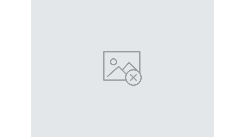 ОФИЦИАЛЬНЫЕ ВСТРЕЧИ ПРЕДСЕДАТЕЛЯ